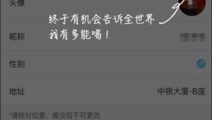 172号卡代理金牌标识怎么显示？头像加V教程