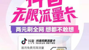 172 流量卡办理后的流量结转：剩余流量咋处理