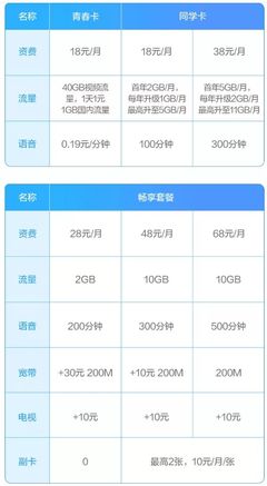 月租 19 元的 172 号卡：首年优惠后，次年资费是多少？