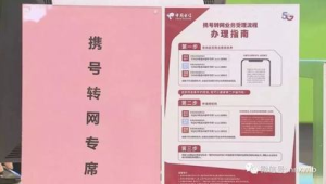 172 号卡办理的携号转网：支持吗？操作流程
