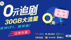 172 流量卡办理的直播套餐：定向大流量 + 稳定网速